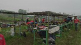 DSC_0101.JPG